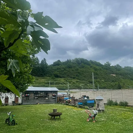 아파트 Am Rhein 린츠암라인