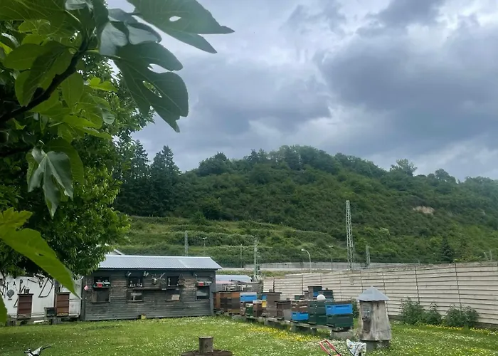 דירה Am Rhein לינץ אם ריין